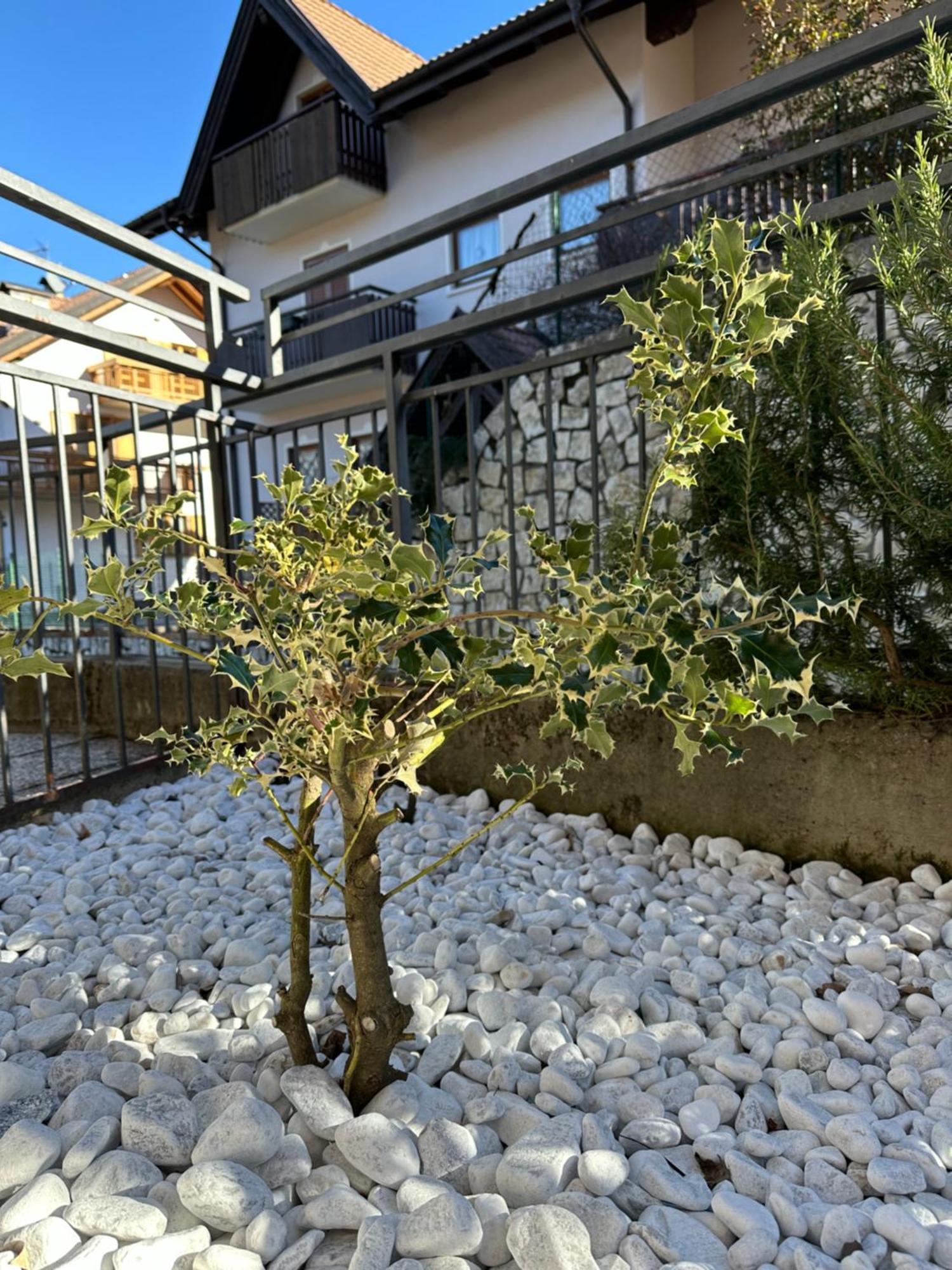 Casa Vacanza La Croseta Trento Bagian luar foto